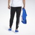 Джоггеры Training Essentials Linear Logo