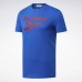 Спортивная футболка Graphic Series Reebok Stacked