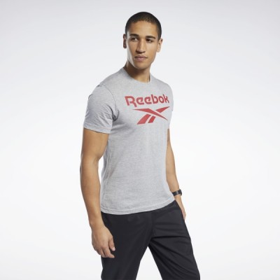 Спортивная футболка Graphic Series Reebok Stacked