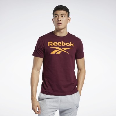 Спортивная футболка Graphic Series Reebok Stacked