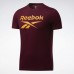 Спортивная футболка Graphic Series Reebok Stacked