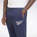 Джоггеры Reebok Identity Vector