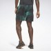 Шорты Epic Lightweight Printed Training