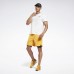 Спортивные шорты Running Epic Two-in-One
