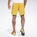 Спортивные шорты Running Epic Two-in-One