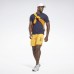 Шорты Epic Lightweight Graphic