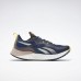 Кроссовки Reebok National Geographic Floatride Energy 3 Adventure