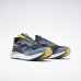 Кроссовки Reebok National Geographic Floatride Energy 3 Adventure