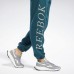 Джоггеры Classics Graphic Fleece