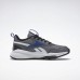 Кроссовки REEBOK XT SPRINTER 2.0 ALT